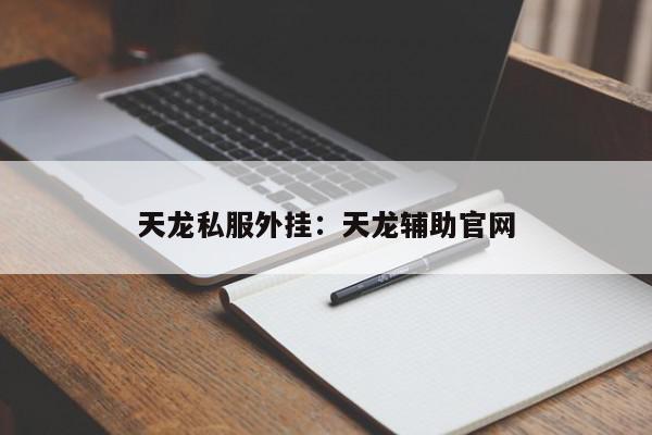 天龙私服外挂：天龙辅助官网