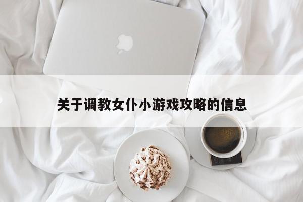 关于调教女仆小游戏攻略的信息